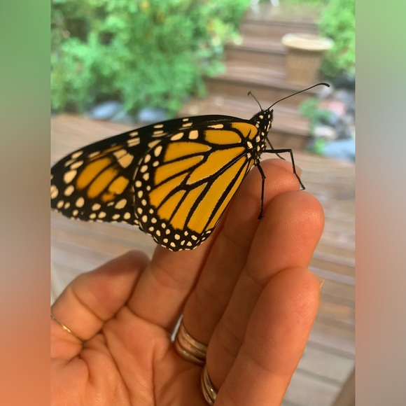 @browneyedgrl25 is LIVE! 💖 - Picture 2 of 13